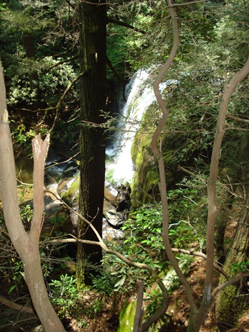 [DSC00936[2].jpg]